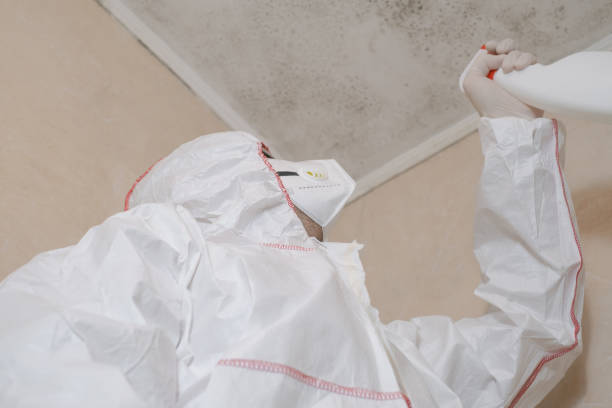 Best Mold Testing  in Eldridge, IA